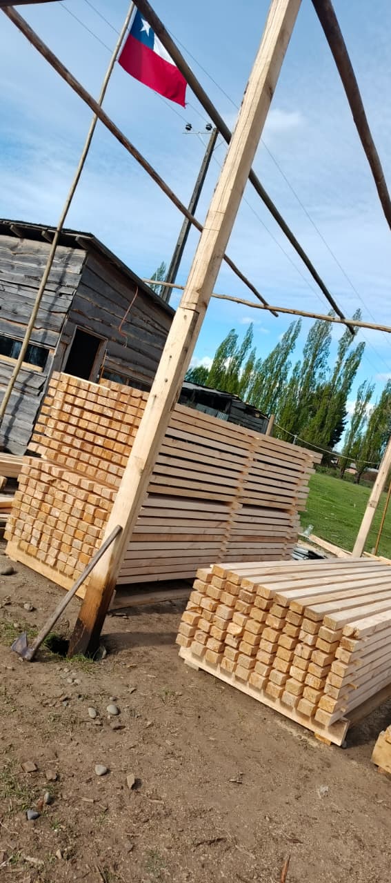 Trabajo en el aserradero 1